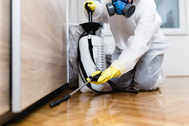 Best Bed Bug Extermination  in Greensburg, LA