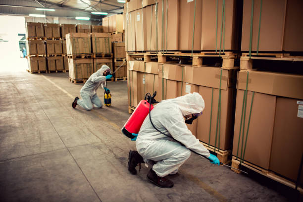 Best Ant Control Services  in Greensburg, LA
