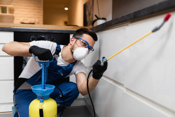 Best Mosquito Control Services  in Greensburg, LA