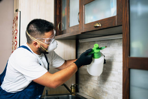 Best Flea Control Services  in Greensburg, LA