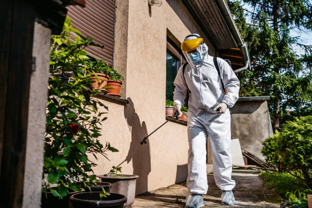 Best Residential Pest Control  in Greensburg, LA