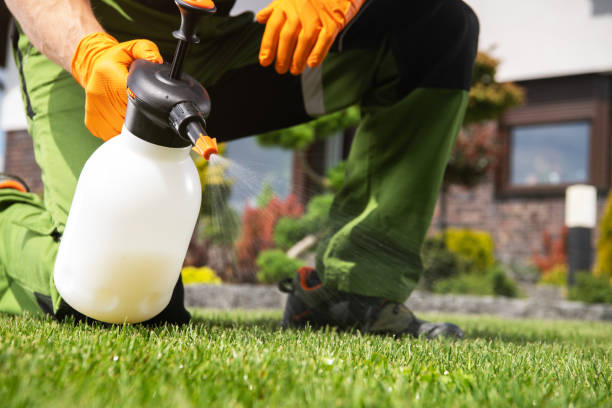 Best Affordable Pest Control Services  in Greensburg, LA