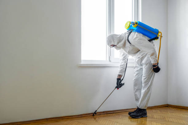 Best Flea Control Services  in Greensburg, LA