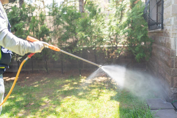 Best Wasp Removal Services  in Greensburg, LA