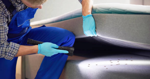 Best Termite Control Services  in Greensburg, LA
