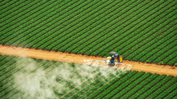 Best Pest Prevention Services  in Greensburg, LA