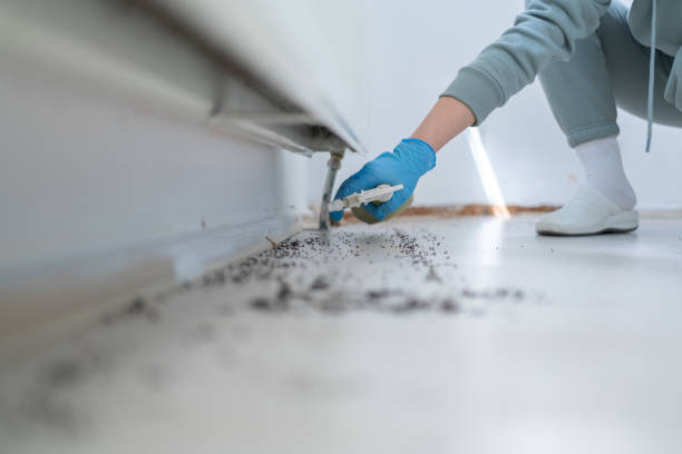 Wildlife Control Services in Greensburg, LA