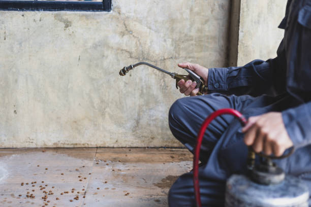 Best Pest Control Near Me  in Greensburg, LA