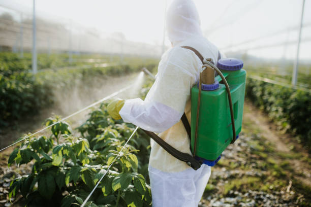 Best Affordable Pest Control Services  in Greensburg, LA